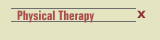 Physical Therapy